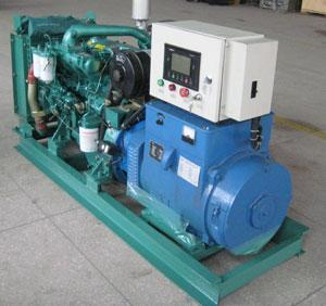 泸定发电机出租